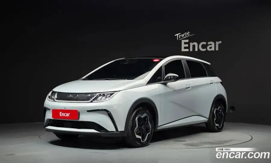 BYD Dolphin Base