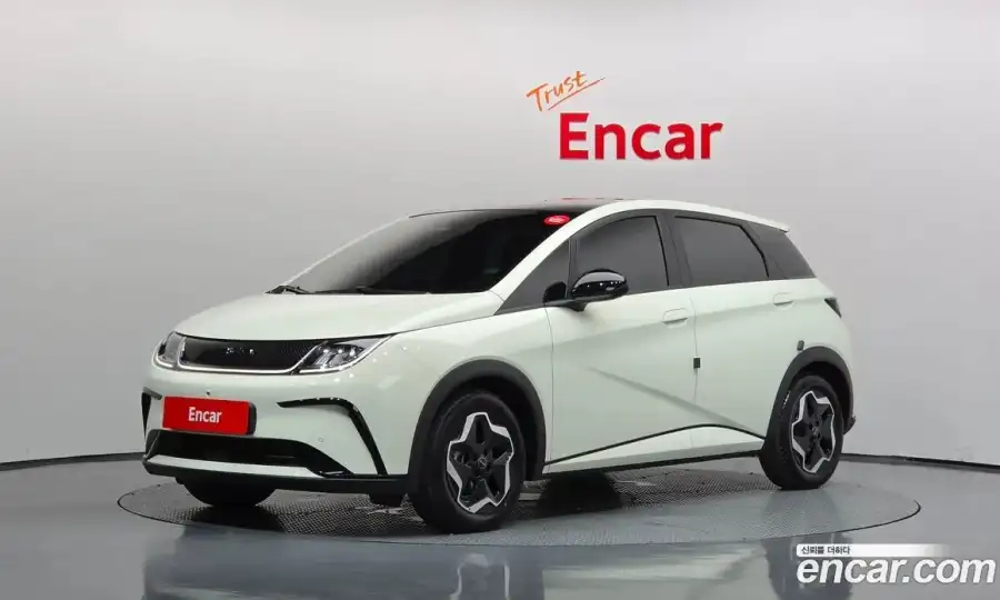 BYD Dolphin Base