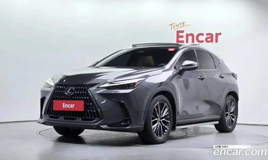 Lexus NX Luxury