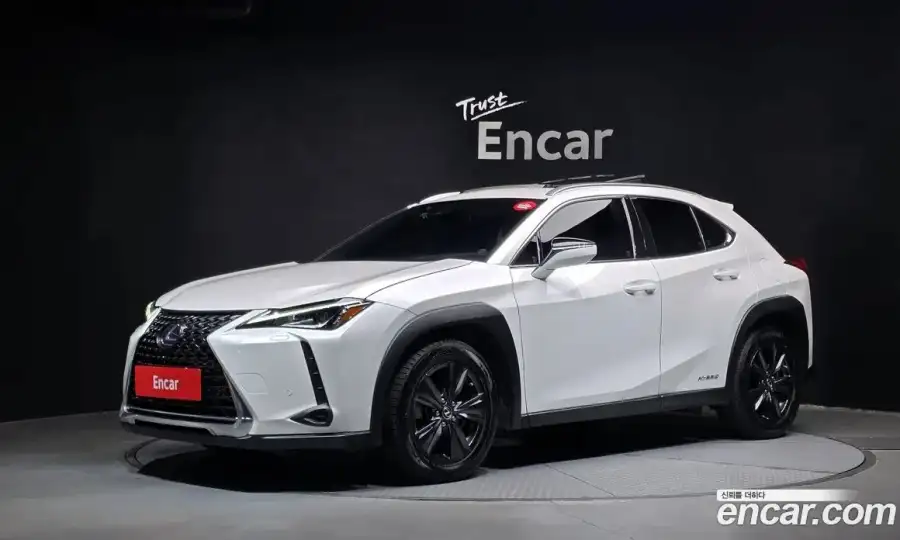 Lexus UX 2.0 2WD