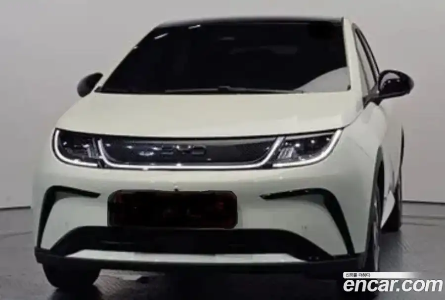 BYD Dolphin Base