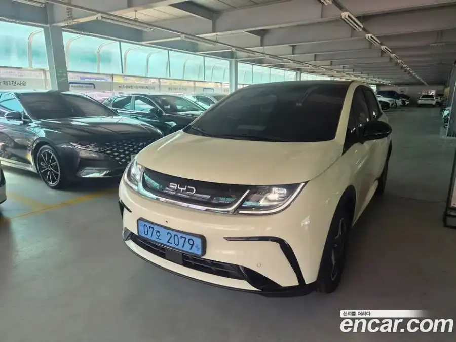 BYD Dolphin Base