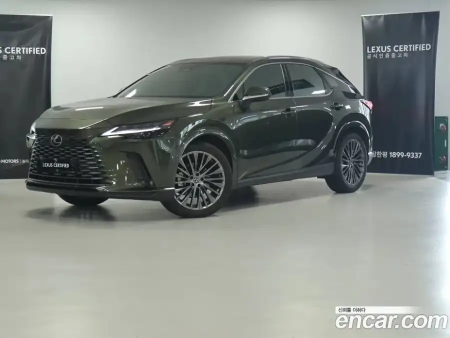 Lexus RX Luxury