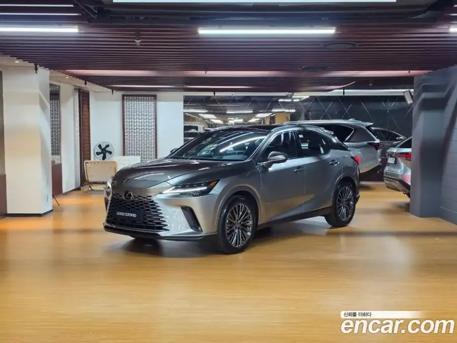 Lexus RX Luxury
