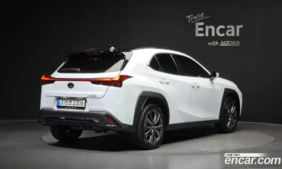 Lexus UX 2.0 F-Sport 2WD