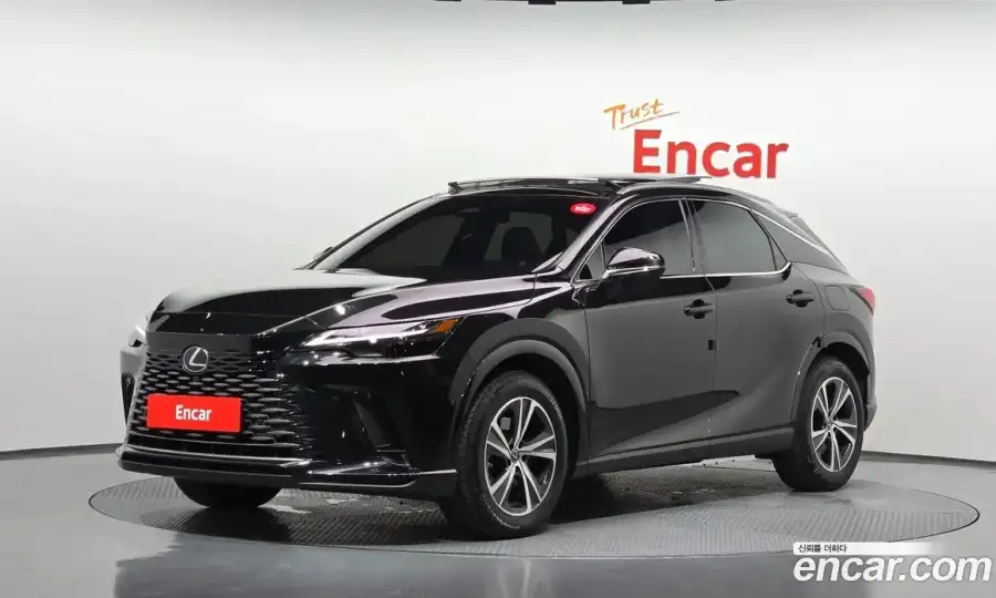 Lexus RX Luxury