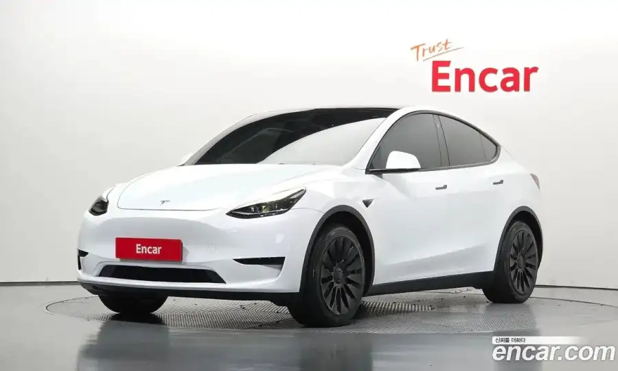 Tesla Model Y RWD