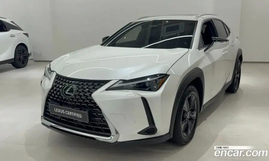 Lexus UX 2.0 2WD