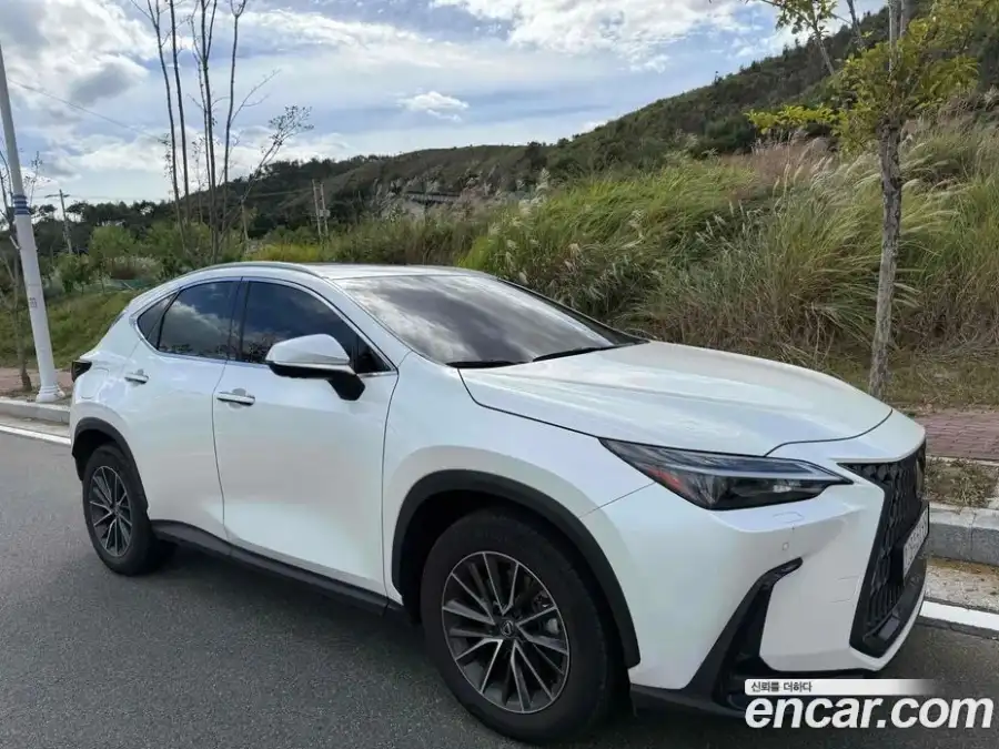 Lexus NX Premium