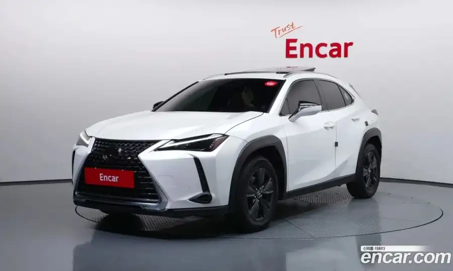 Lexus UX 2.0 2WD