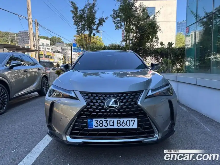 Lexus UX 2.0 2WD