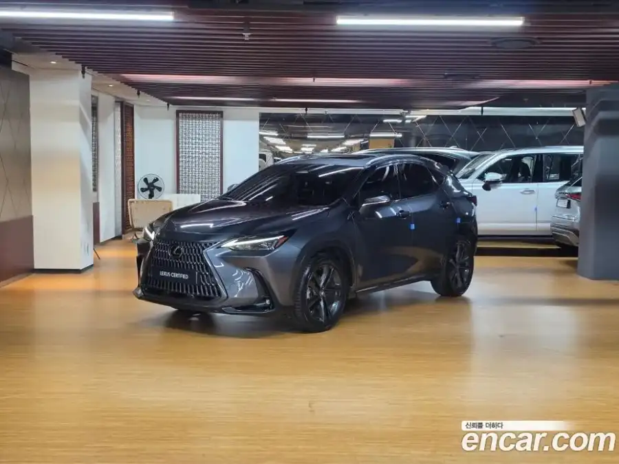 Lexus NX Premium