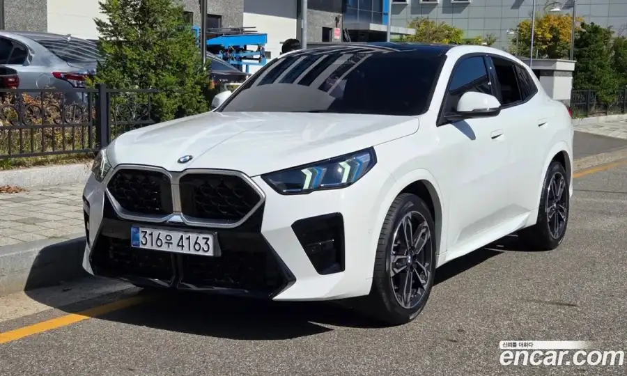 BMW X2 (F39) xDrive 20i M Sport