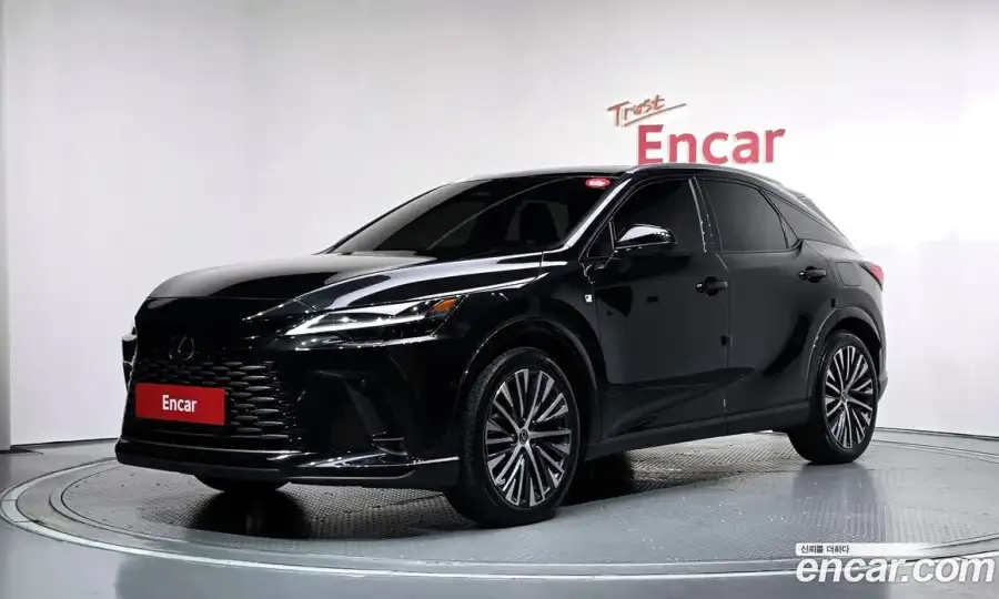Lexus RX Luxury