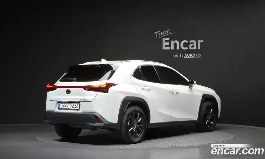 Lexus UX 2.0 2WD