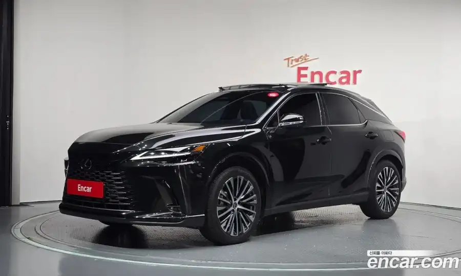 Lexus RX Luxury