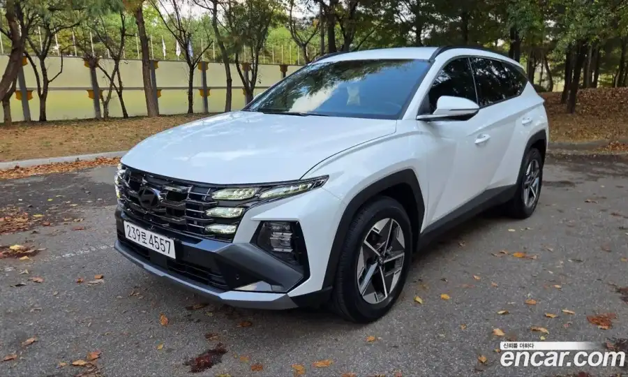 Hyundai Tucson Gasoline 1.6 Turbo 2WD