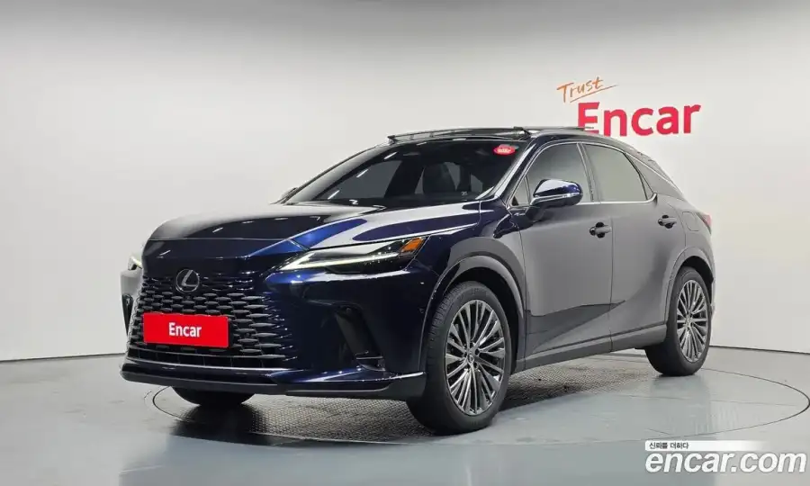 Lexus RX Luxury