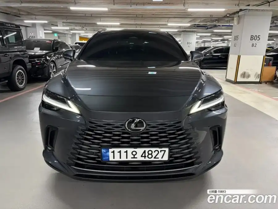 Lexus RX Luxury