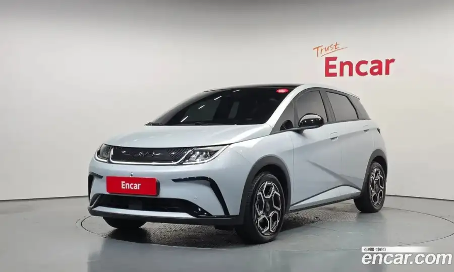 BYD Dolphin Active