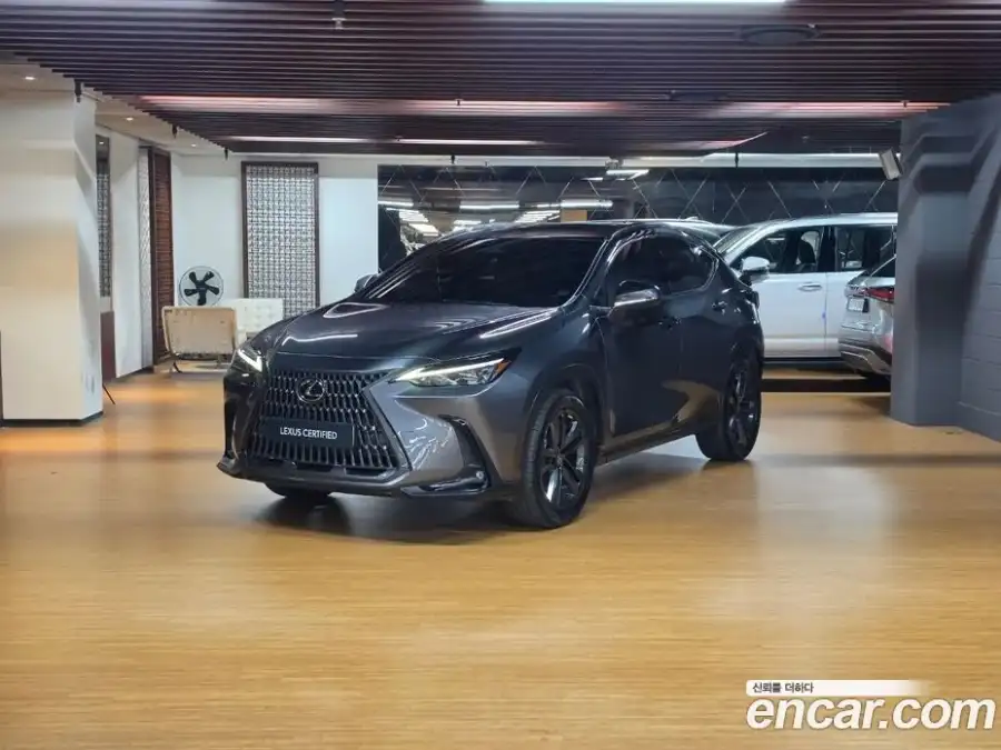 Lexus NX Premium