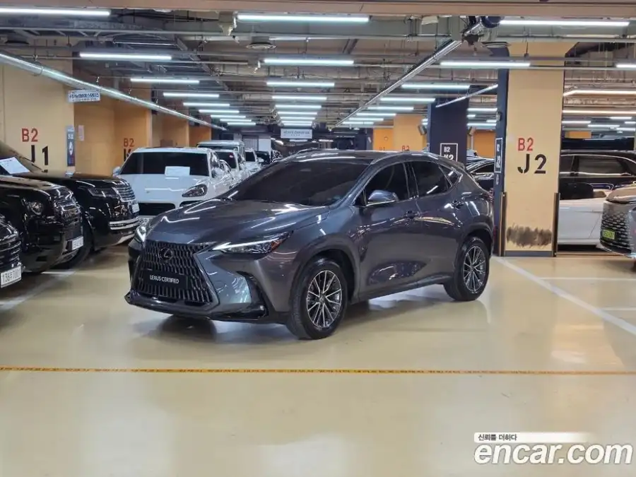 Lexus NX Premium