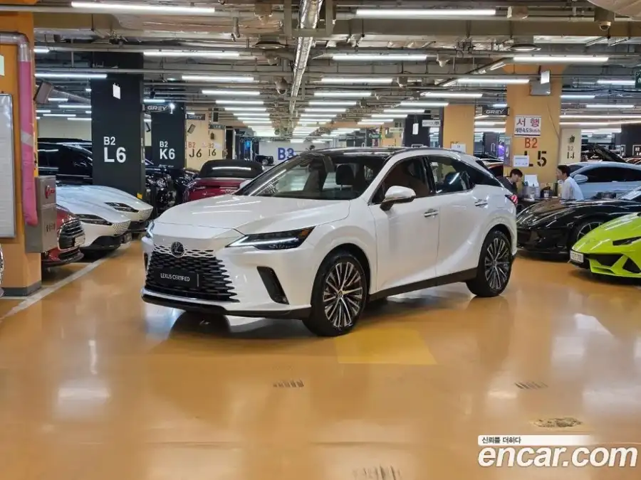 Lexus RX Luxury