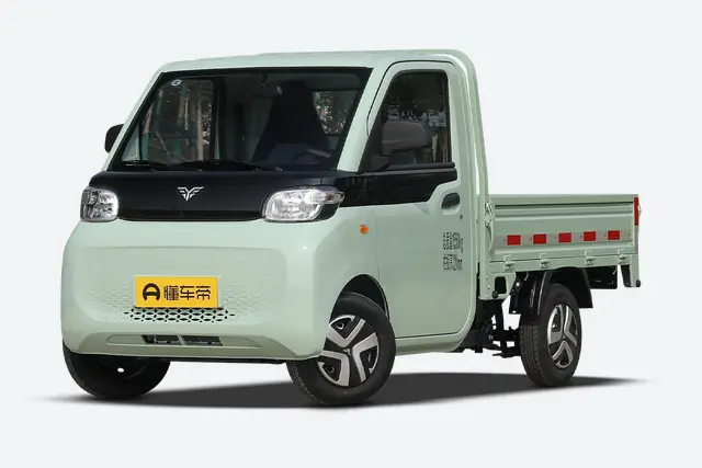 Leichi T10