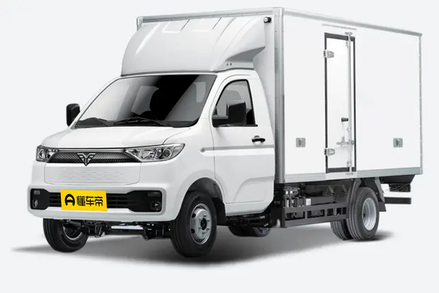 Leichi T30